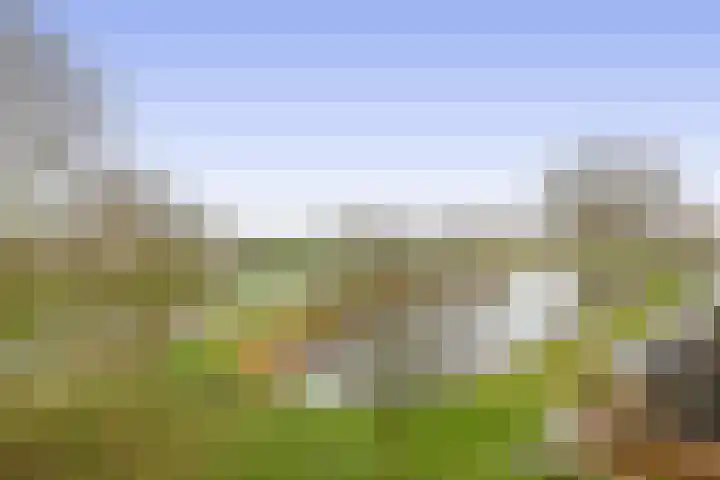 Egelantier 22 Nootdorp thumbnail 34