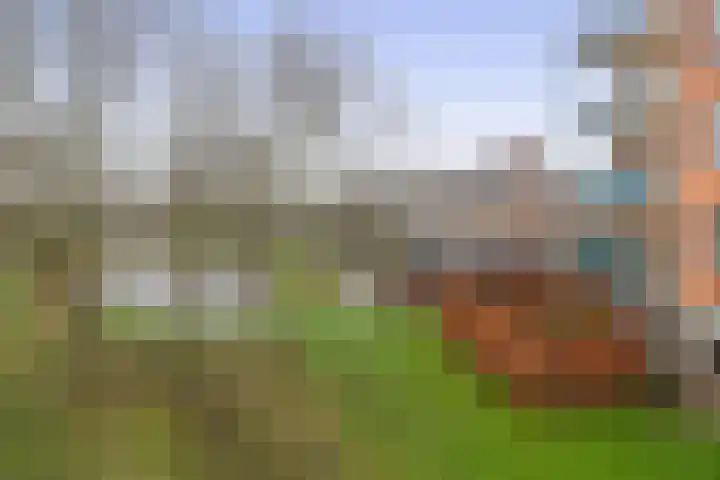 Egelantier 22 Nootdorp thumbnail 35