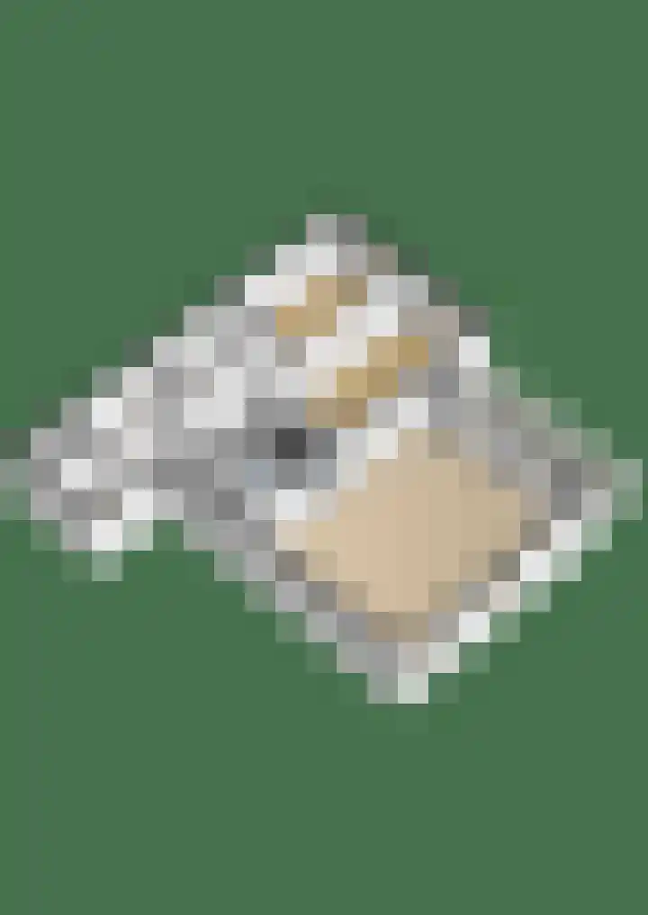 Egelantier 22 Nootdorp thumbnail 39