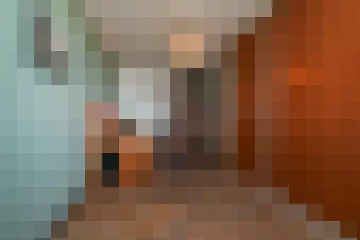Egelantier 38 Nootdorp thumbnail 22