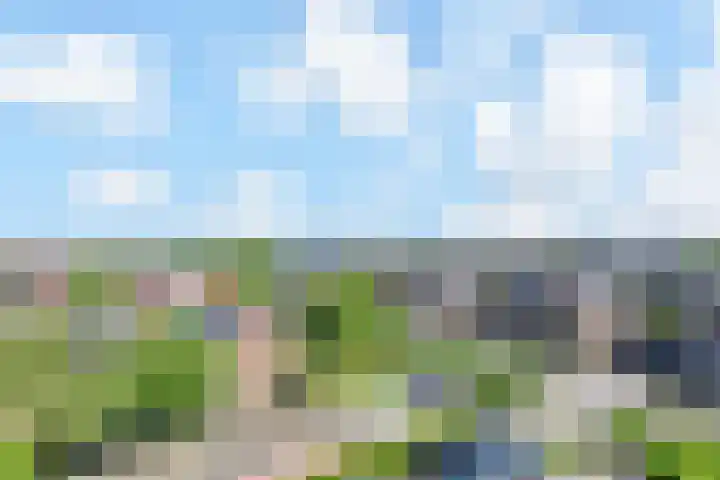 Egelantier 38 Nootdorp thumbnail 34