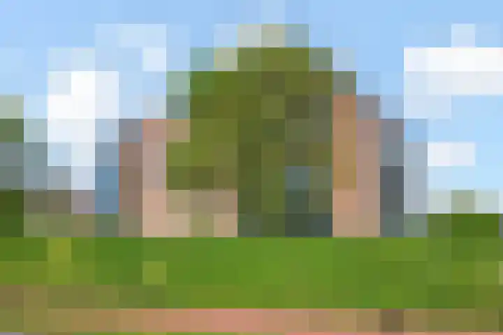 Egelantier 38 Nootdorp thumbnail 42