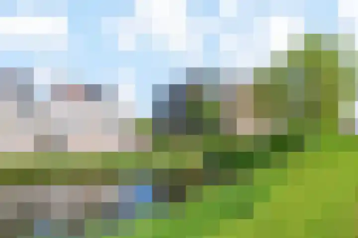 Egelantier 38 Nootdorp thumbnail 44