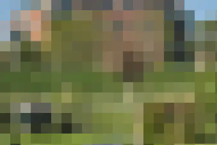 Egelantier 38 Nootdorp thumbnail 46