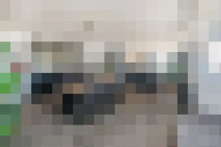 Egelantier 38 Nootdorp thumbnail 9