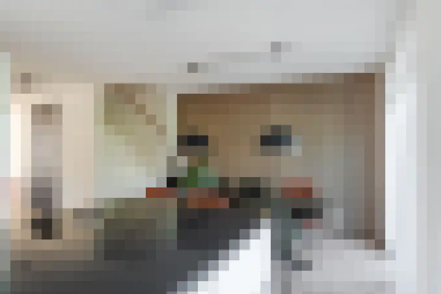 Egelantier 46 Waddinxveen thumbnail 10