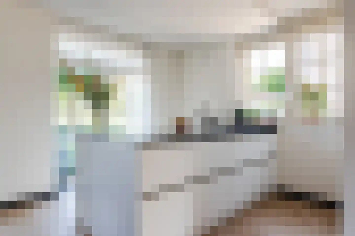 Egelantier 46 Waddinxveen thumbnail 11