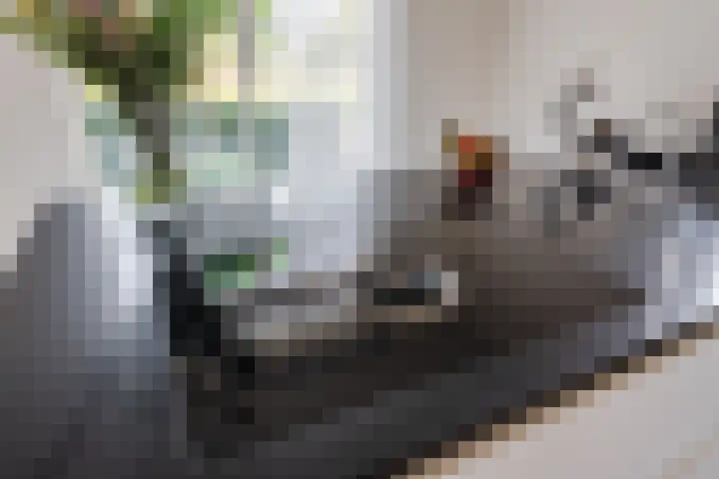 Egelantier 46 Waddinxveen thumbnail 12