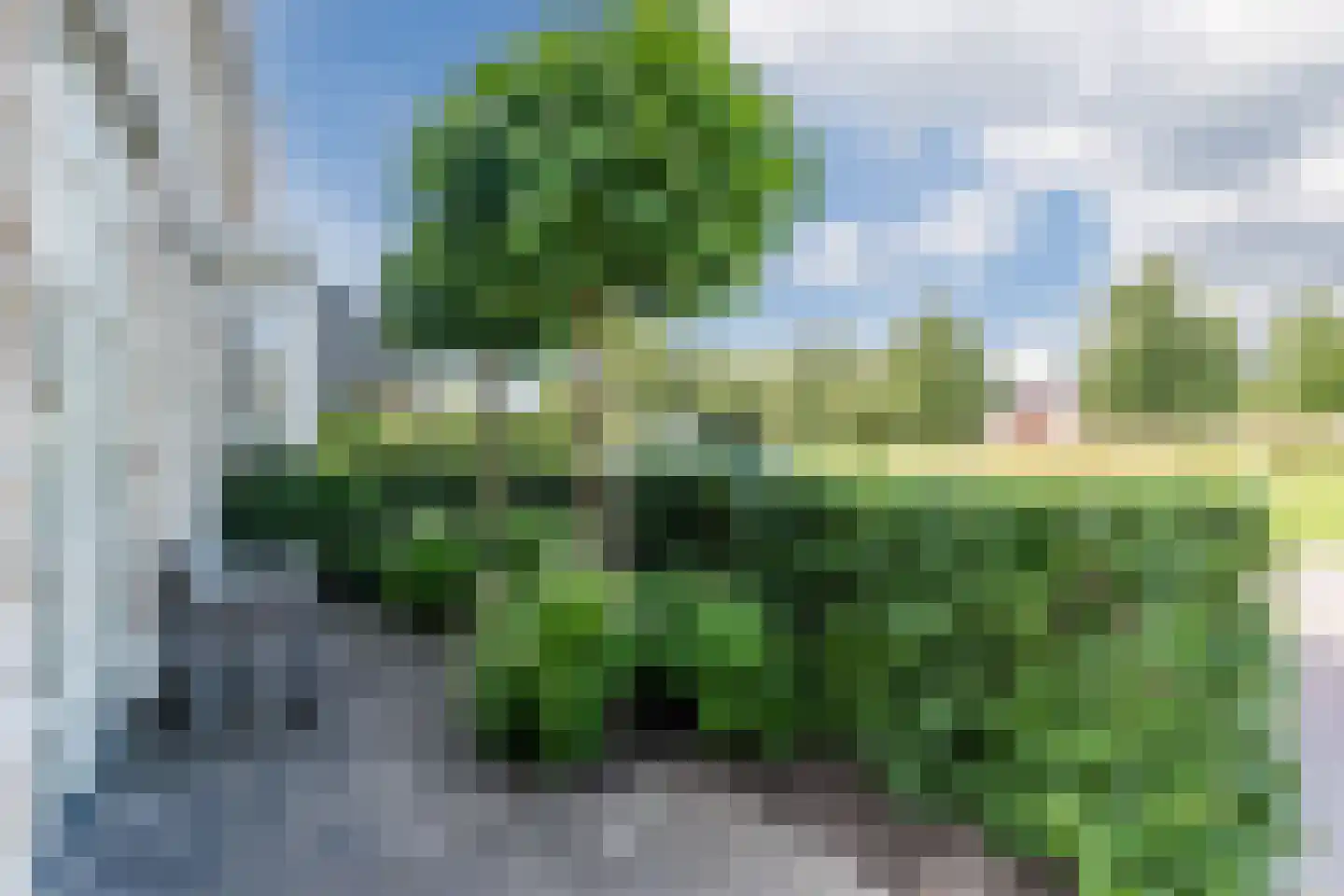 Egelantier 46 Waddinxveen thumbnail 4
