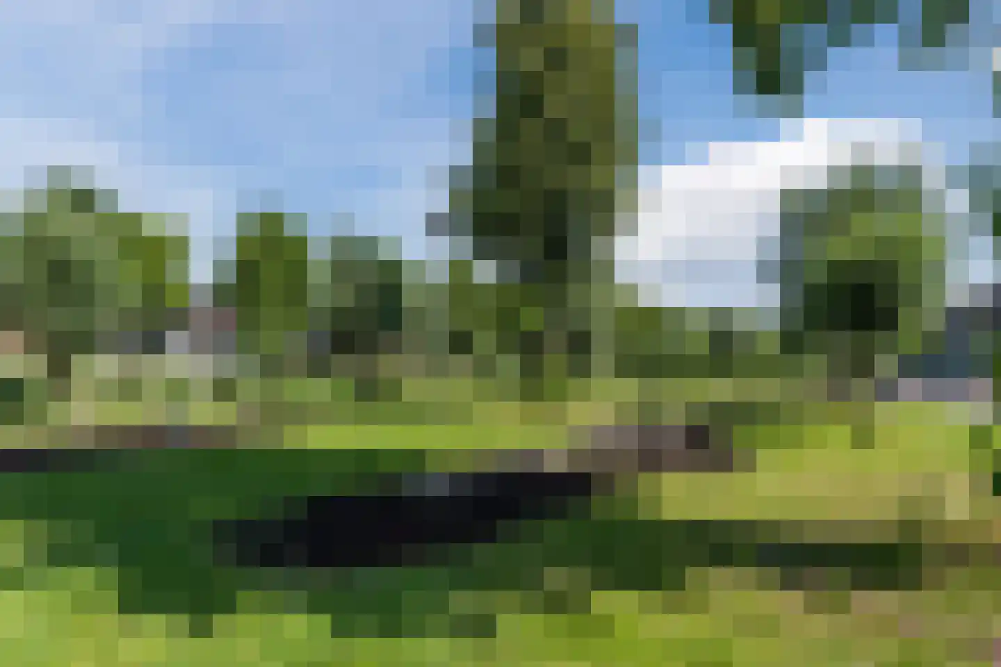 Egelantier 46 Waddinxveen thumbnail 52