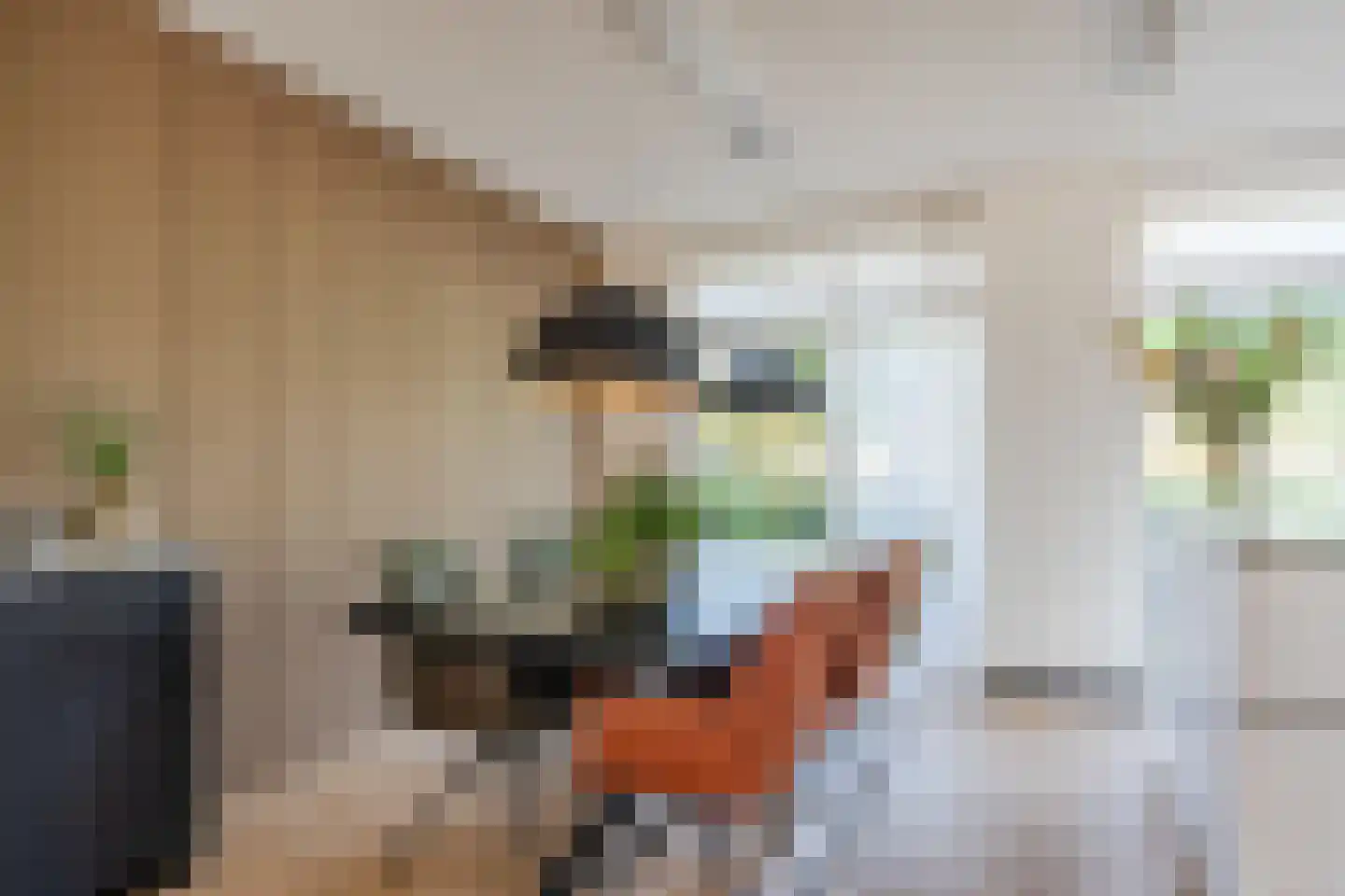 Egelantier 46 Waddinxveen thumbnail 8