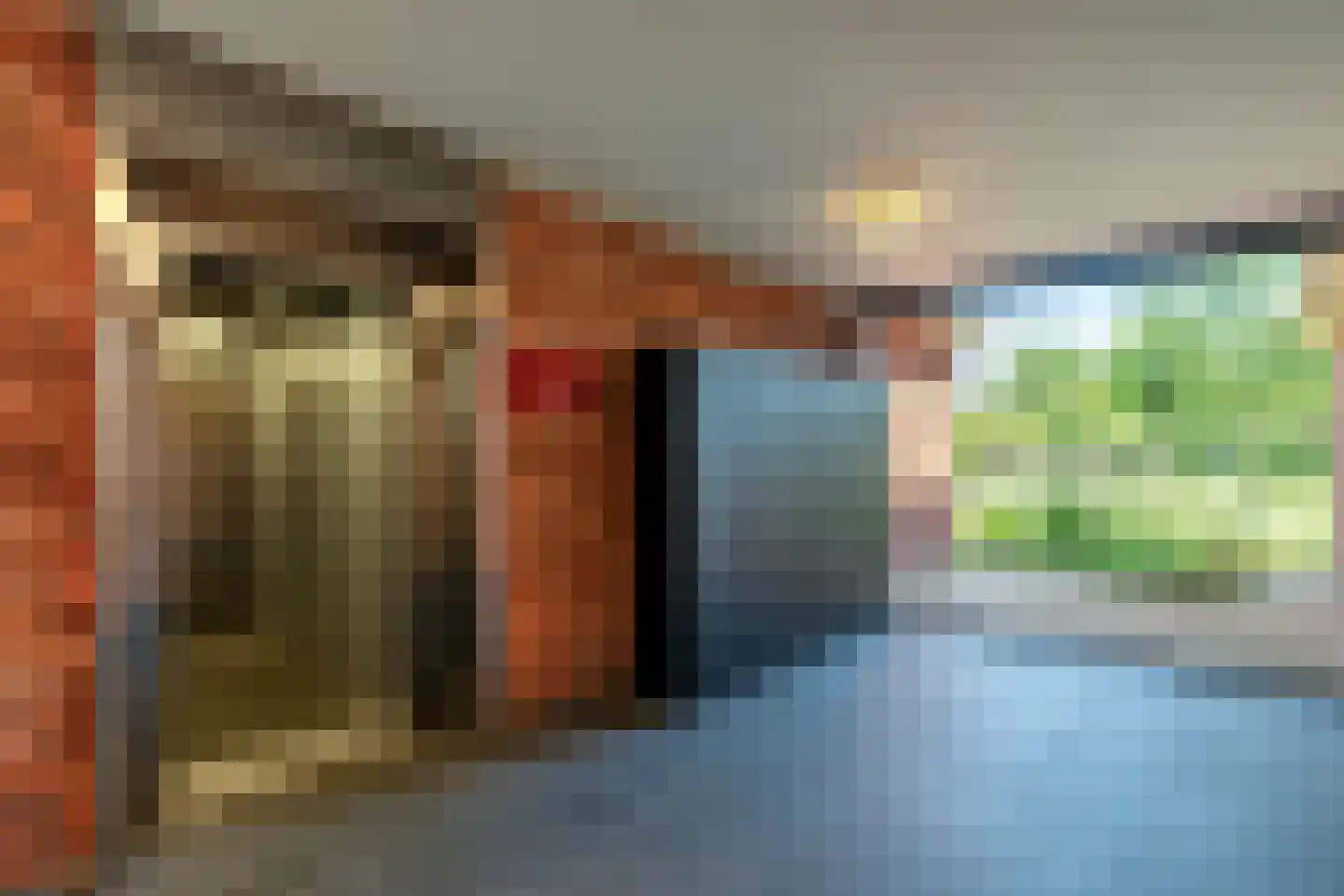 Egelantier 57 Oostkapelle thumbnail 27