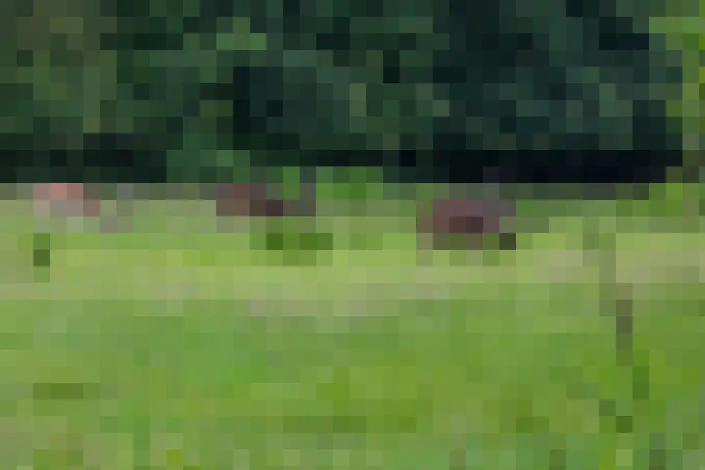 Egelantier 57 Oostkapelle thumbnail 31