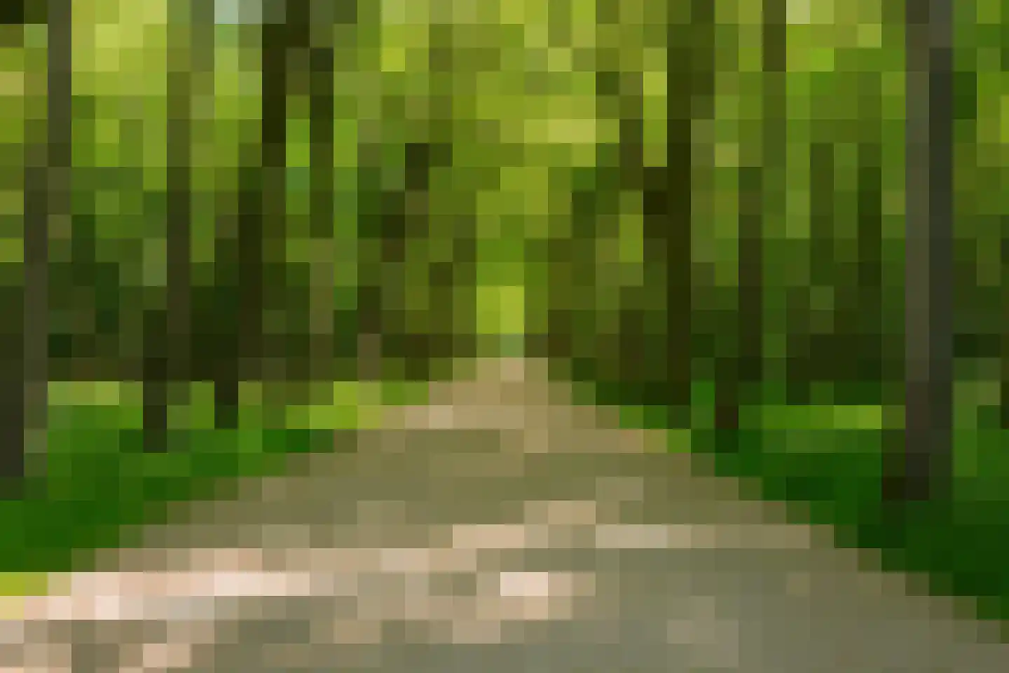 Egelantier 57 Oostkapelle thumbnail 32