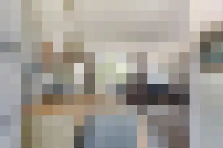 Egelantier 6 Heemskerk thumbnail 10