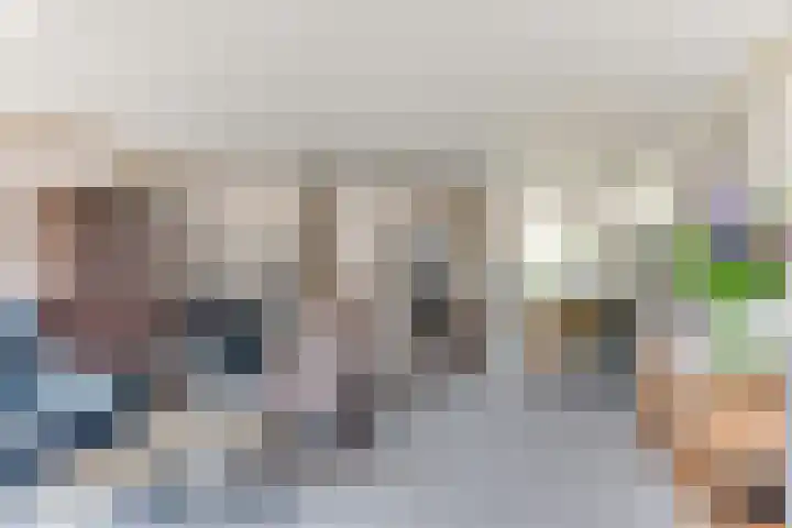 Egelantier 6 Heemskerk thumbnail 11
