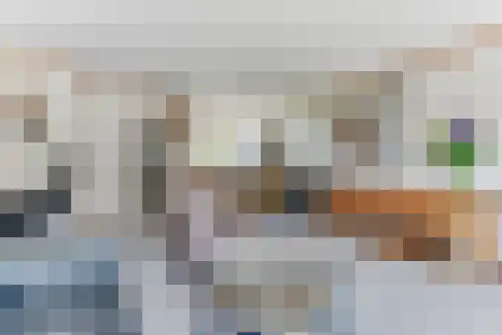 Egelantier 6 Heemskerk thumbnail 13