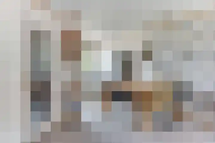 Egelantier 6 Heemskerk thumbnail 14