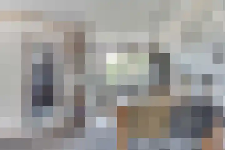 Egelantier 6 Heemskerk thumbnail 15