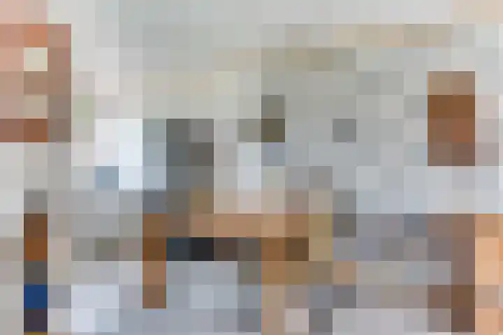 Egelantier 6 Heemskerk thumbnail 16