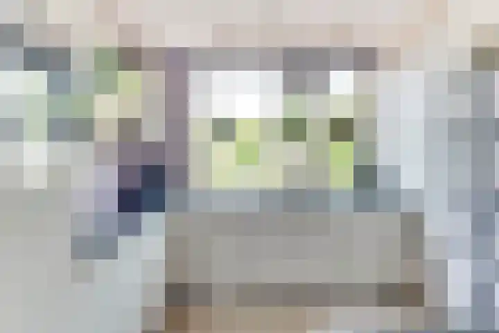 Egelantier 6 Heemskerk thumbnail 17