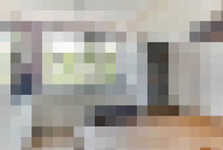Egelantier 6 Heemskerk thumbnail 18