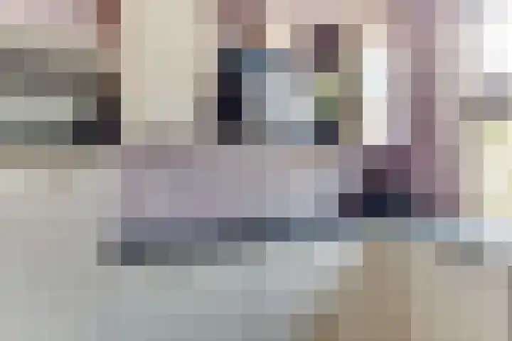 Egelantier 6 Heemskerk thumbnail 19