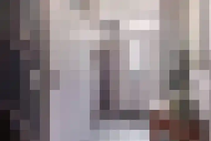Egelantier 6 Heemskerk thumbnail 20
