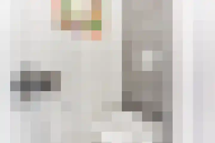 Egelantier 6 Heemskerk thumbnail 21