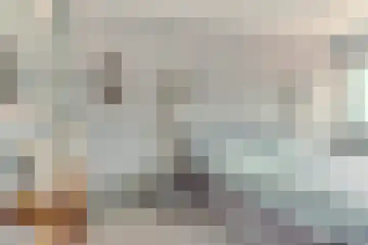 Egelantier 6 Heemskerk thumbnail 22