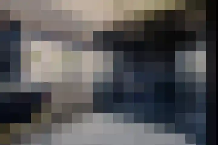 Egelantier 6 Heemskerk thumbnail 25