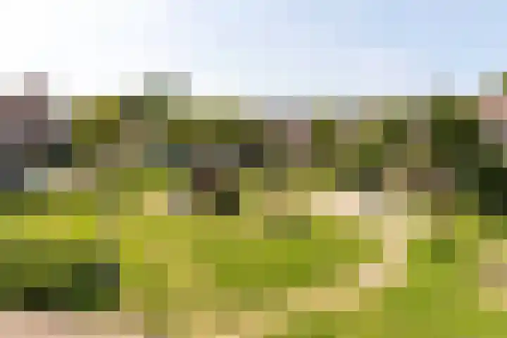Egelantier 6 Heemskerk thumbnail 26