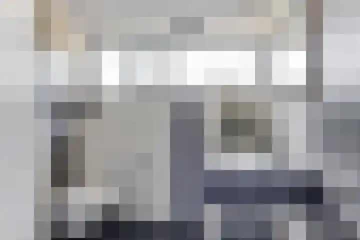 Egelantier 6 Heemskerk thumbnail 27