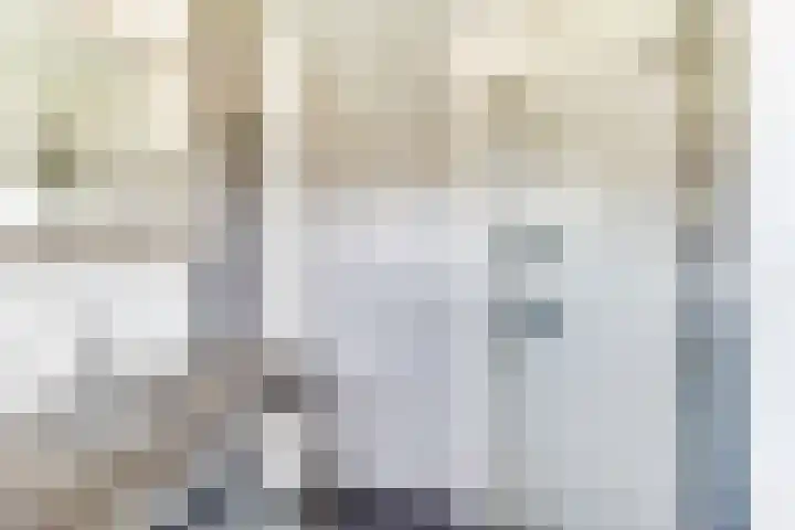 Egelantier 6 Heemskerk thumbnail 28