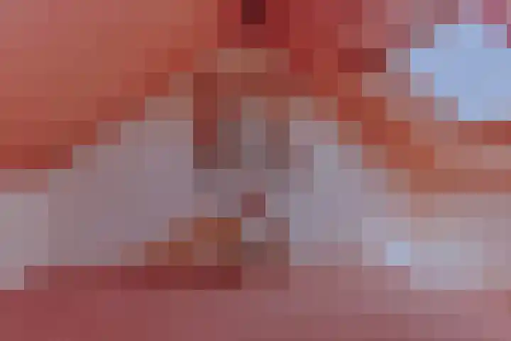 Egelantier 6 Heemskerk thumbnail 29