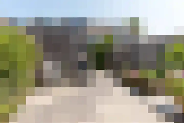Egelantier 6 Heemskerk thumbnail 31