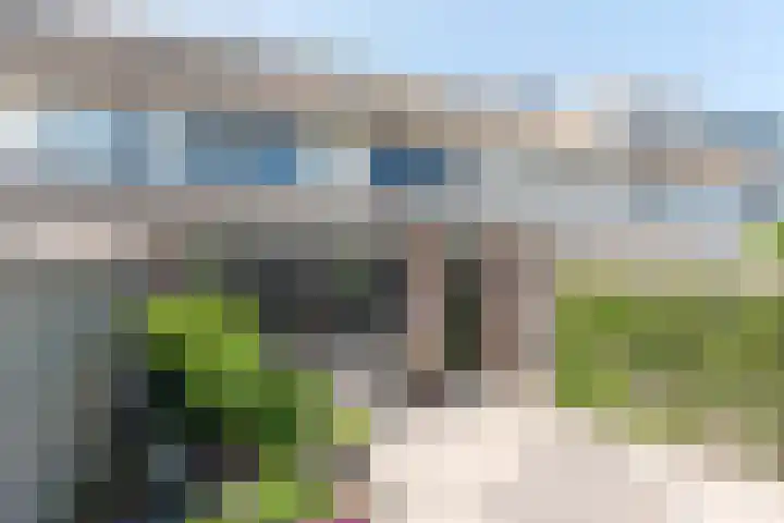 Egelantier 6 Heemskerk thumbnail 32