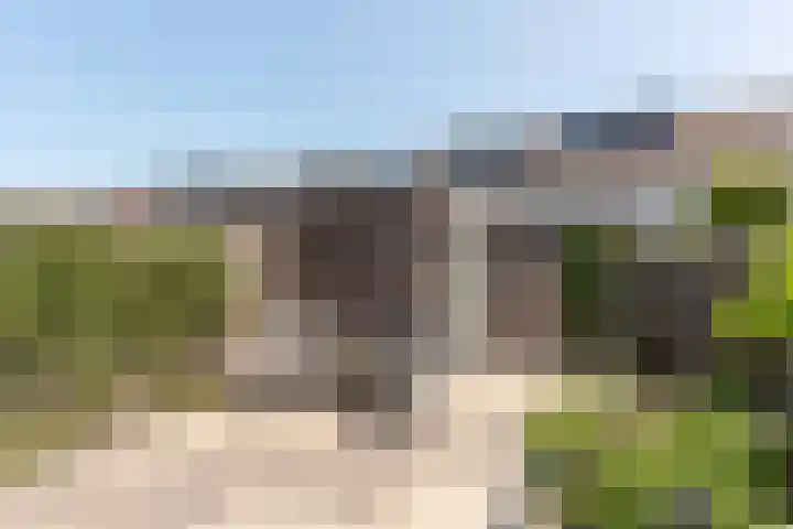 Egelantier 6 Heemskerk thumbnail 33