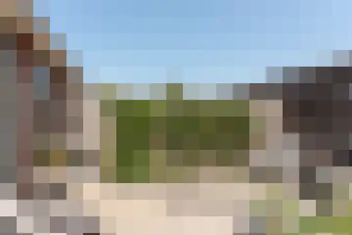 Egelantier 6 Heemskerk thumbnail 34