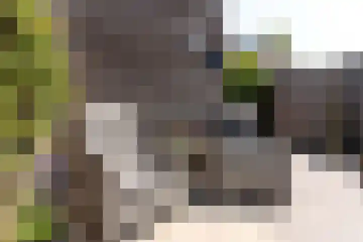 Egelantier 6 Heemskerk thumbnail 35
