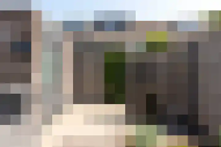 Egelantier 6 Heemskerk thumbnail 36