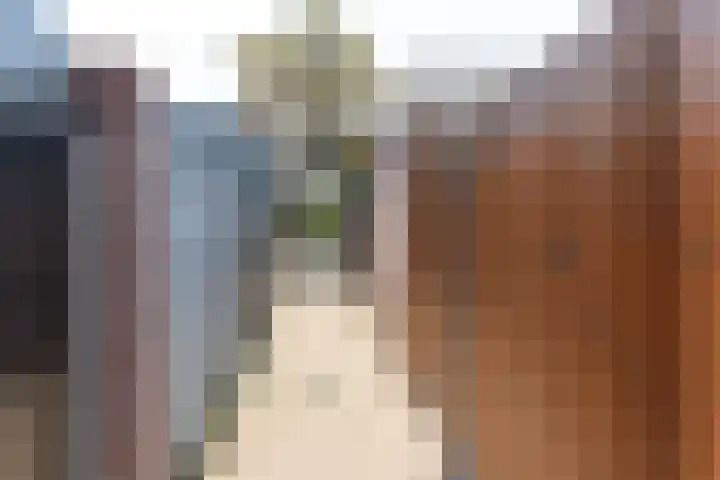 Egelantier 6 Heemskerk thumbnail 38