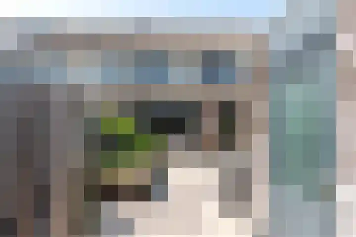 Egelantier 6 Heemskerk thumbnail 39