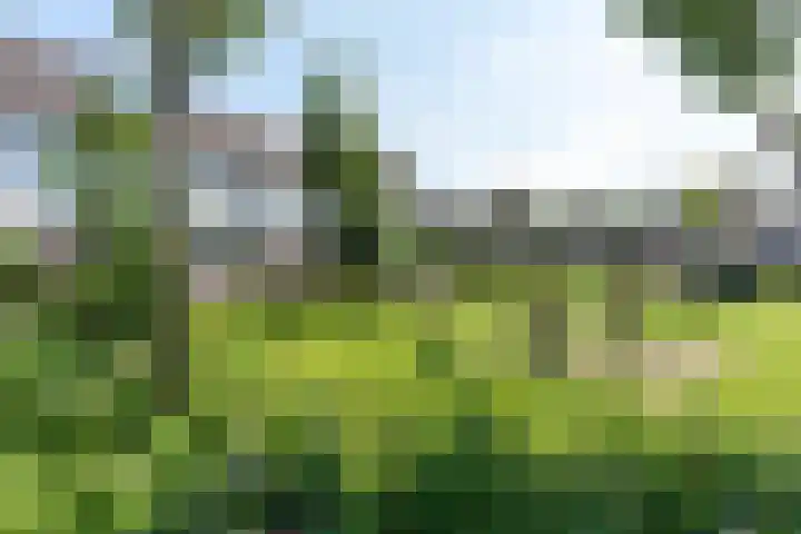 Egelantier 6 Heemskerk thumbnail 4