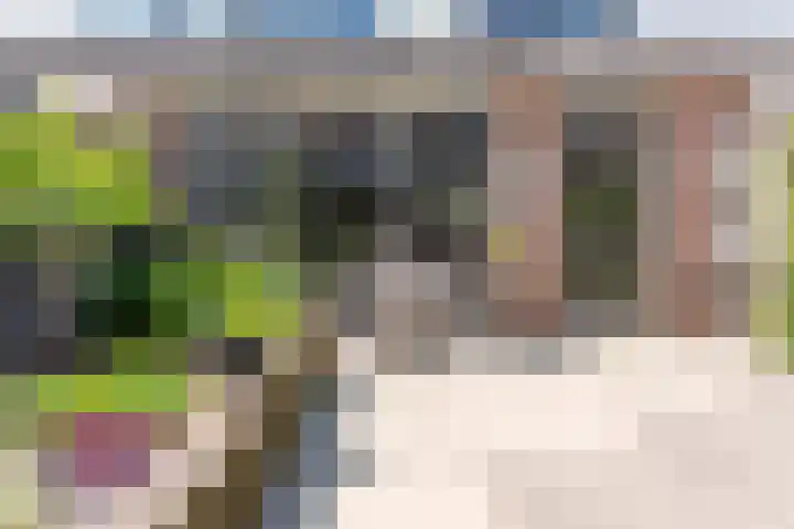 Egelantier 6 Heemskerk thumbnail 40