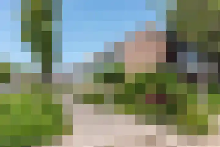 Egelantier 6 Heemskerk thumbnail 42
