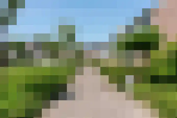 Egelantier 6 Heemskerk thumbnail 43