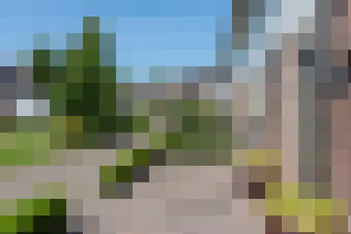 Egelantier 6 Heemskerk thumbnail 45