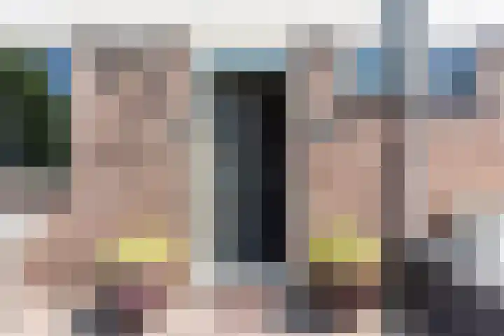 Egelantier 6 Heemskerk thumbnail 6