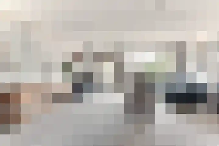 Egelantier 6 Heemskerk thumbnail 8